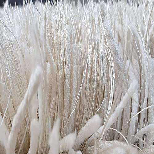 Napria Shaggy Carpet & Rug