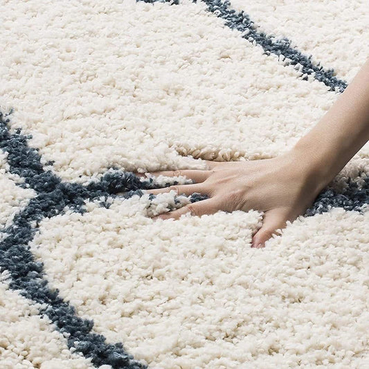 Silquora Shaggy Carpet & Rug