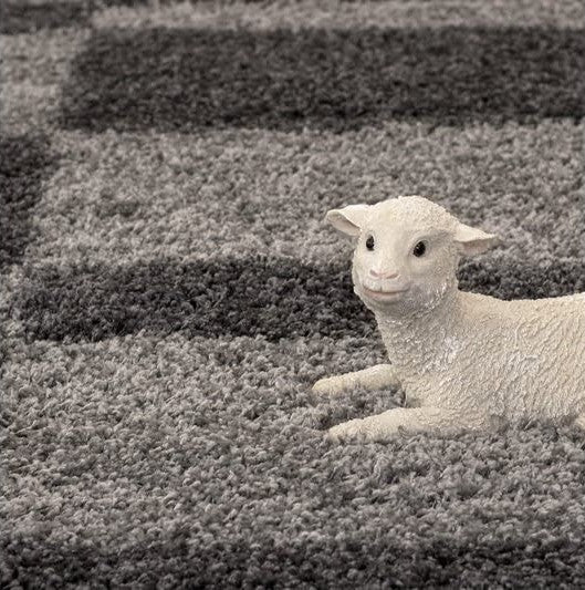 Aurawalk Shaggy Carpet & Rug