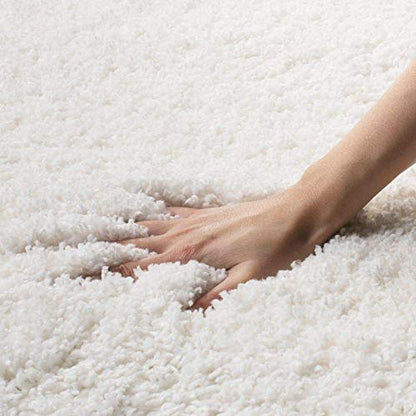 Stravaan Shaggy Carpet & Rug