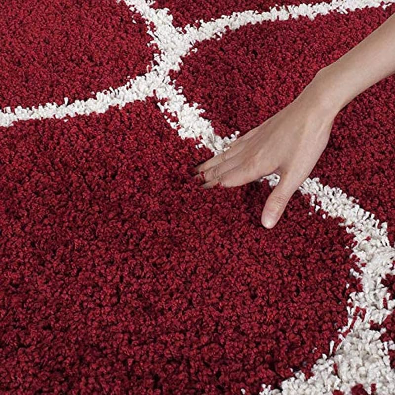 Trivora Shaggy Rug