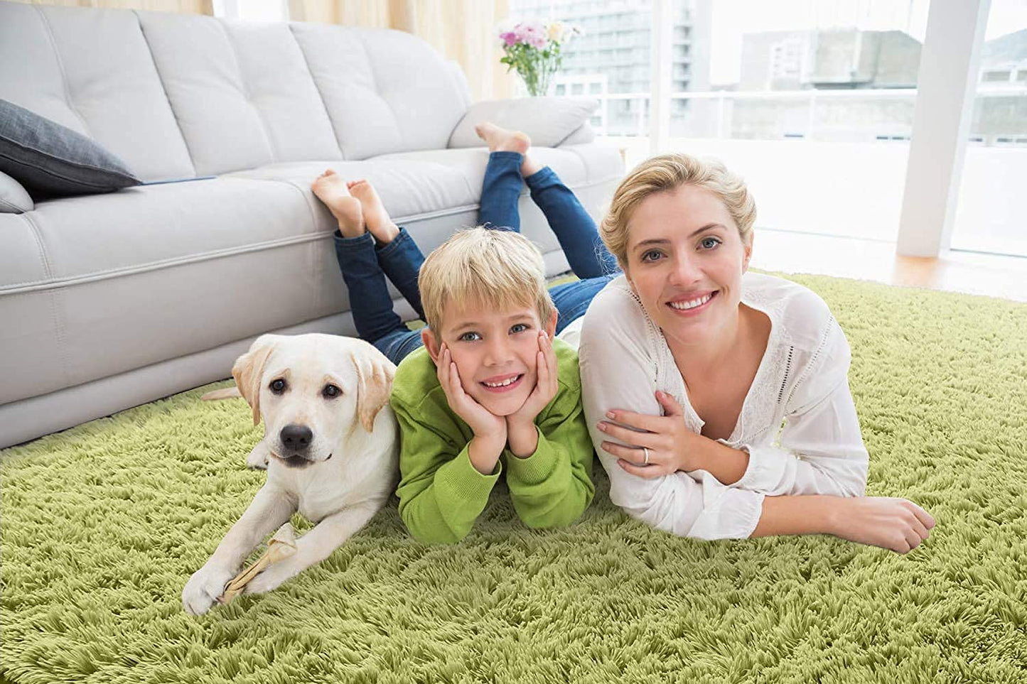 Linetta Shaggy Carpet & Rug