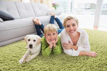 Linetta Shaggy Carpet & Rug