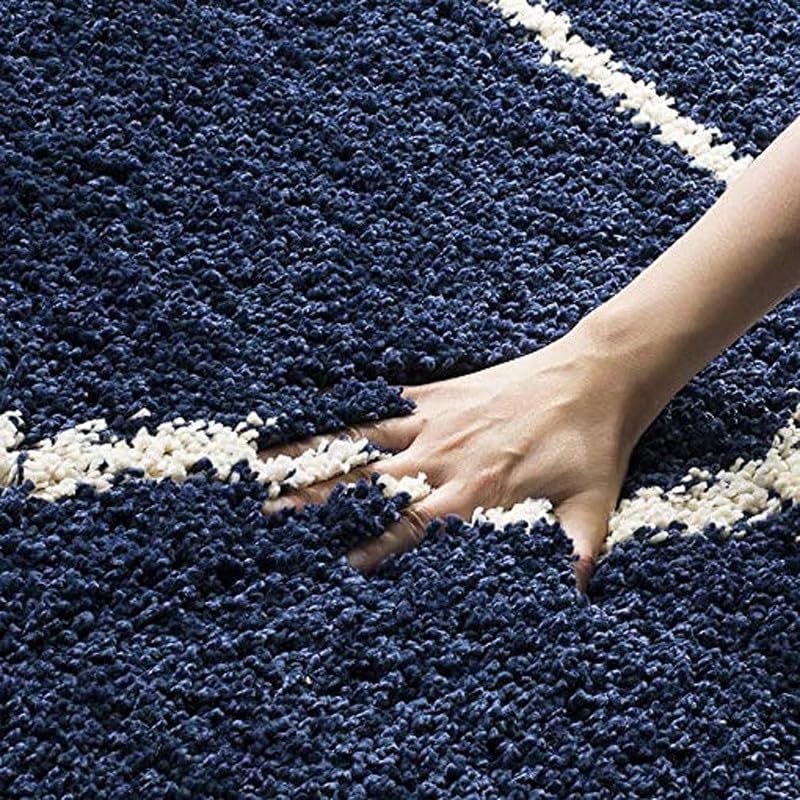 Salvara Shaggy Rug