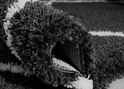 Darvella Shaggy Rug