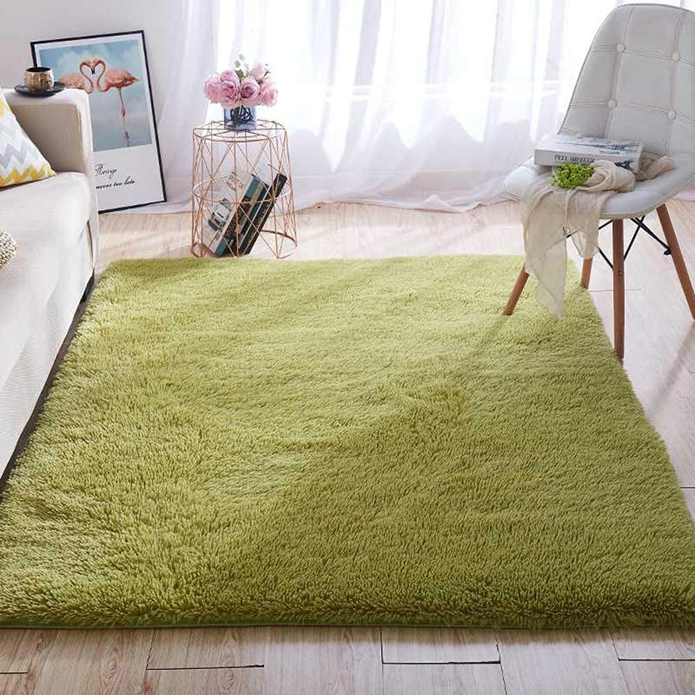 Linetta Shaggy Carpet & Rug