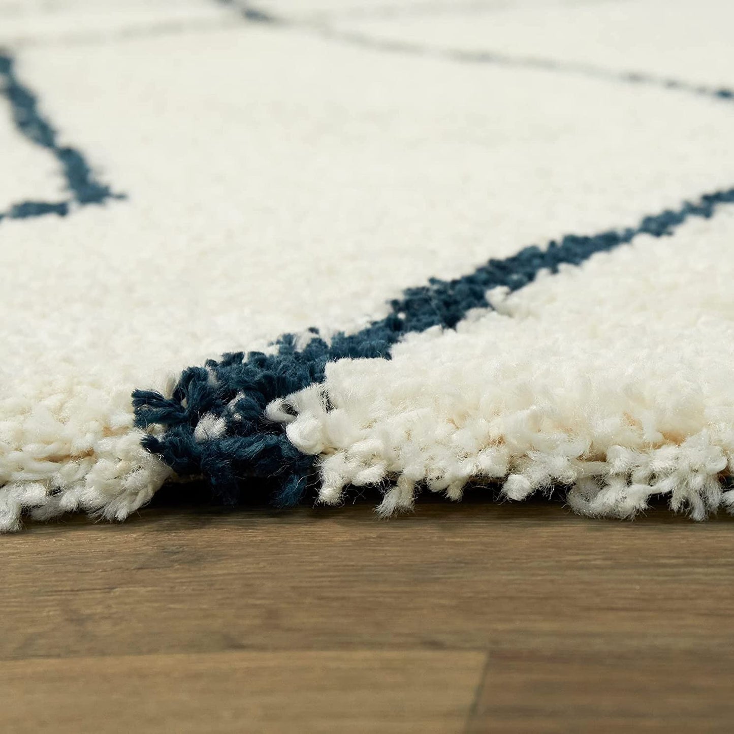 Fernplush Shaggy Carpet & Rug