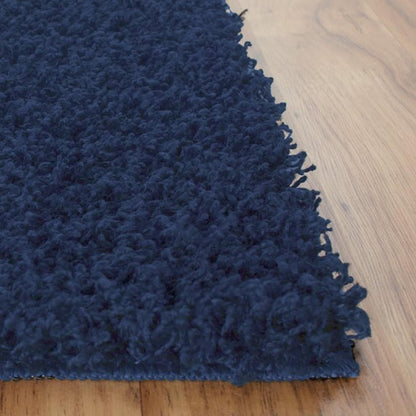 Fayra Shaggy Carpet & Rug