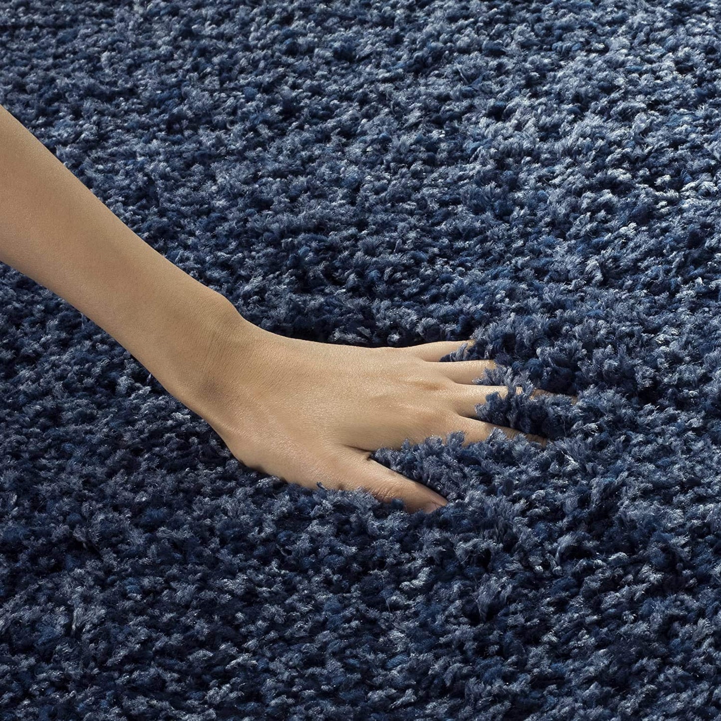 Fayra Shaggy Carpet & Rug