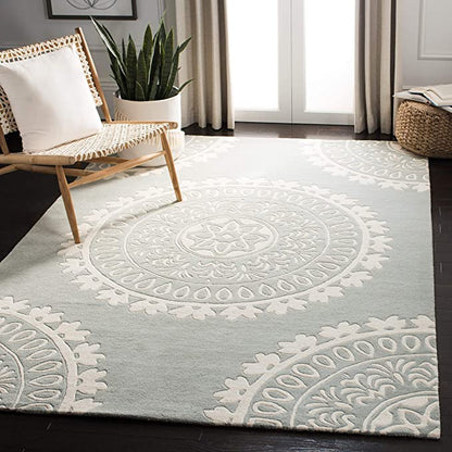 Pluvora Traditional Hand Tufted Carpet