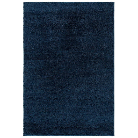 Fayra Shaggy Carpet & Rug