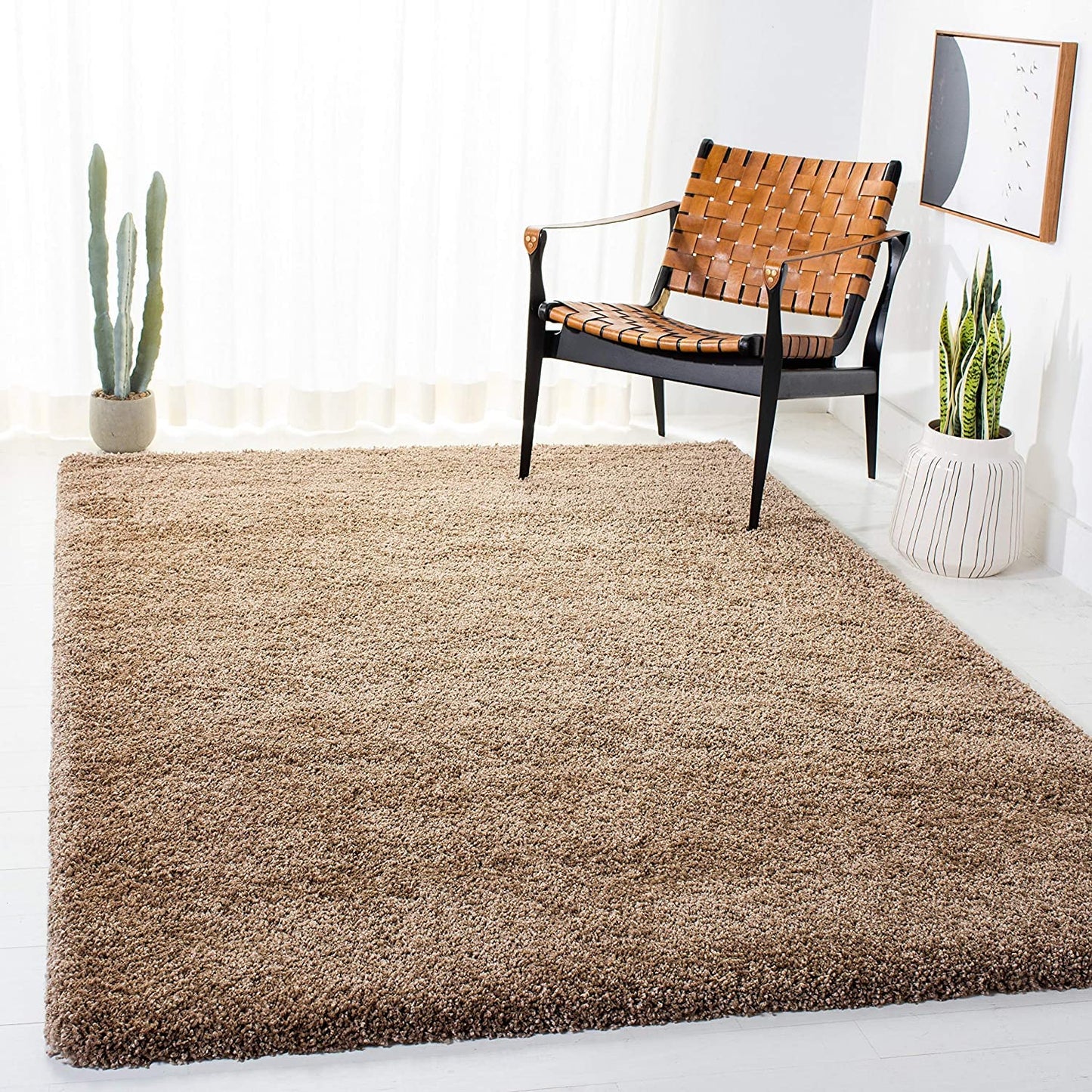 Wamely Shaggy Carpet & Rug