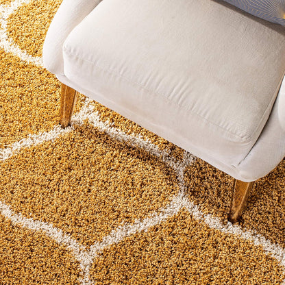 Cozevo Shaggy Carpet & Rug